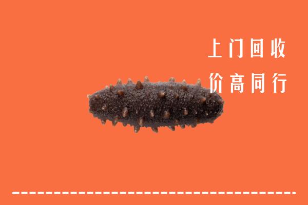 高价求购：江门市新会区回收海参