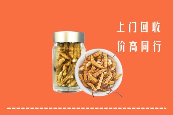 江门市新会区回收冬虫夏草