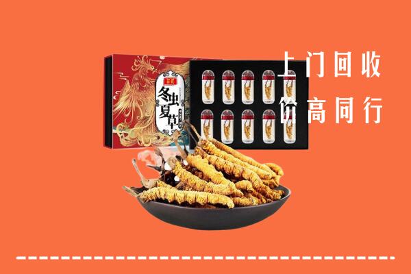 江门市新会区回收虫草